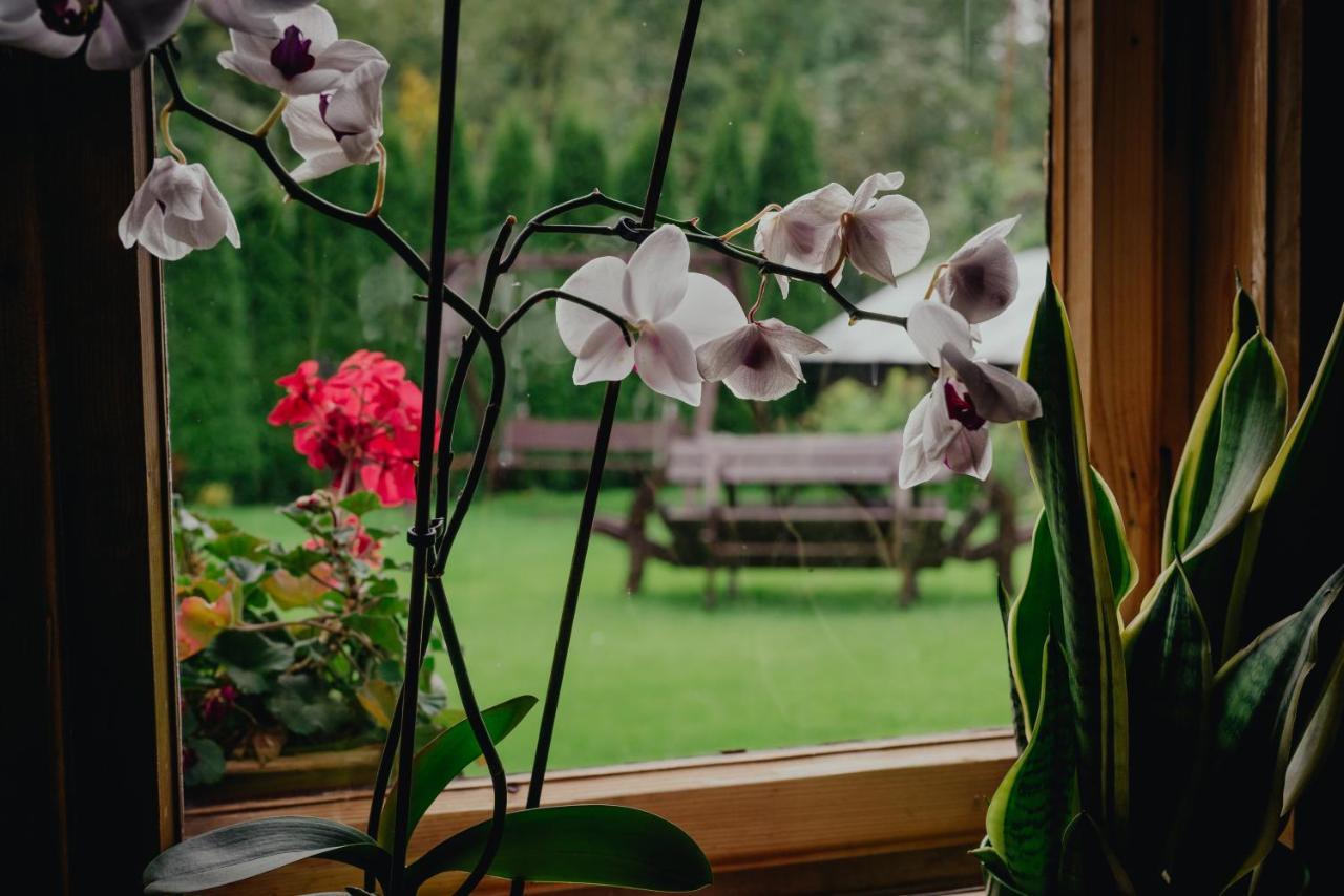 Privat overnatting Goscinne U Wojciakow