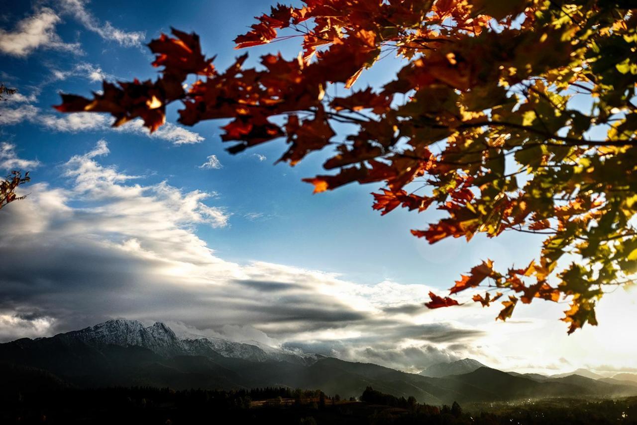 Goscinne U Wojciakow Zakopane