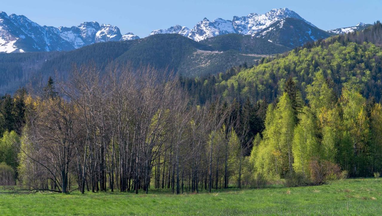 Privatunterkunft Goscinne U Wojciakow Zakopane